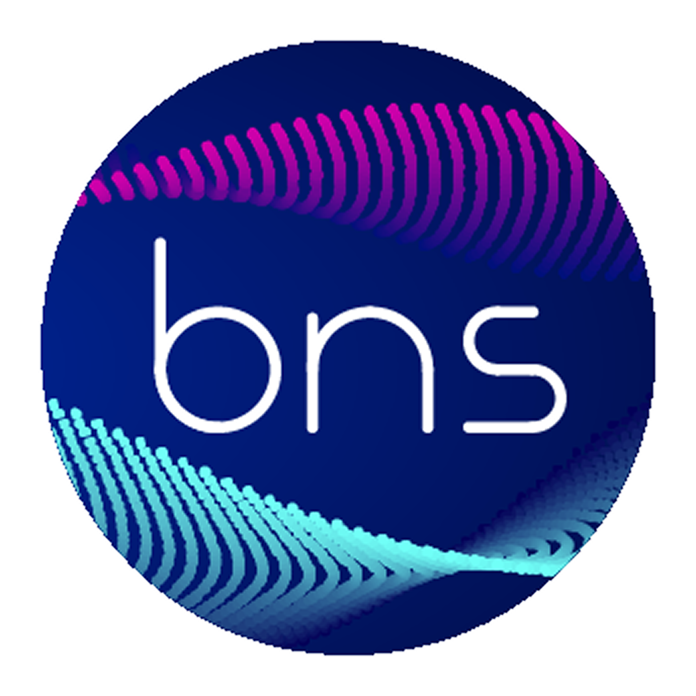 BNS logo